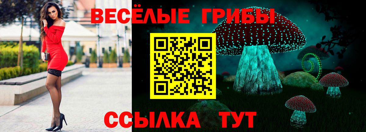 Галлюциногенные грибы ЛСД Апшеронск