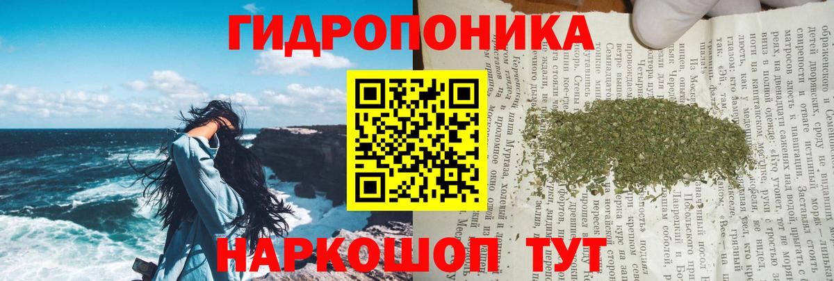Бошки Шишки сатива  Конопля MAZAR  Апшеронск  МАРИХУАНА планчик  Вход с VPN 